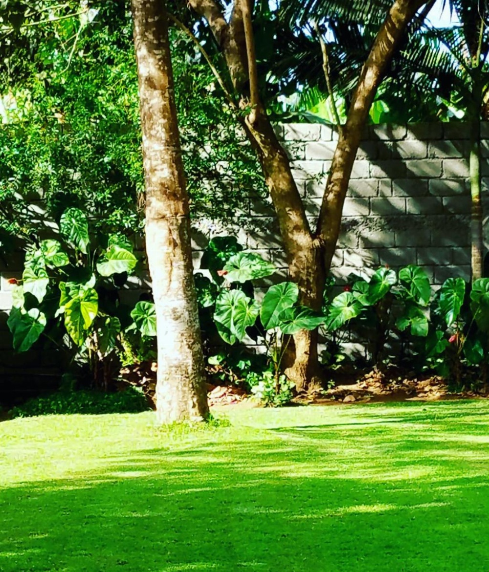 Kundayo Serviced Apartments Lodge Image 11